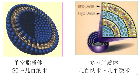 半乳糖修饰阿西替尼脂质体