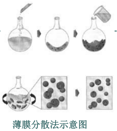 氨基蝶呤修饰蒿甲醚脂质体