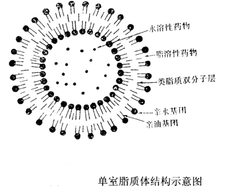 多西他赛包合物脂质体