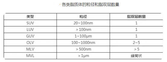 阿霉素长循环脂质体 