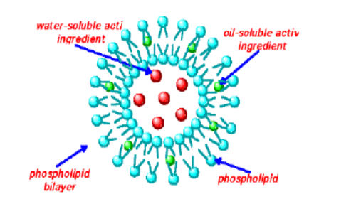 阿糖胞苷脂质体 Liposomes