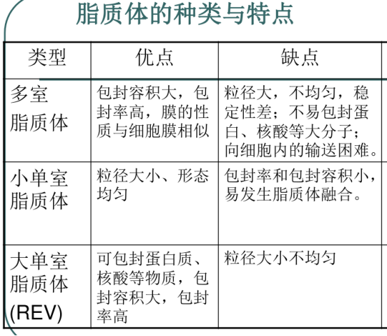 培美曲塞脂质体