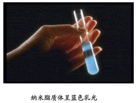 白细胞介素2脂质体