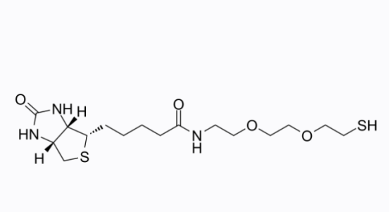 Biotin-PEG2-SH