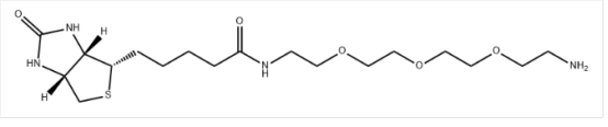 Biotin-PEG3-NH2
