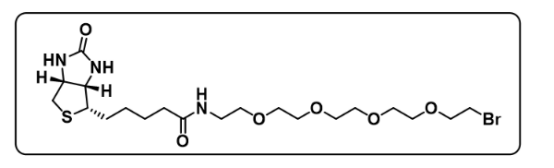 Biotin-PEG4-Br