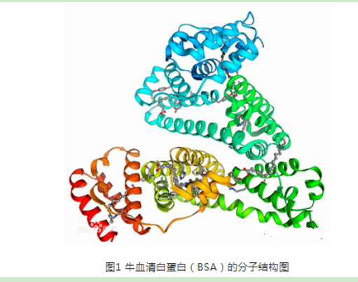 生物素PEG牛血清白蛋白