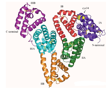 azide-PEG-HSA
