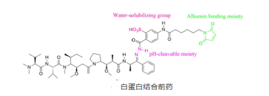 阿霉素PEG人血清白蛋白