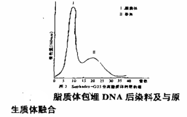 中性荧光脂质体用于活性染料的共轭
