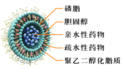 微信截图_20231007165155.png