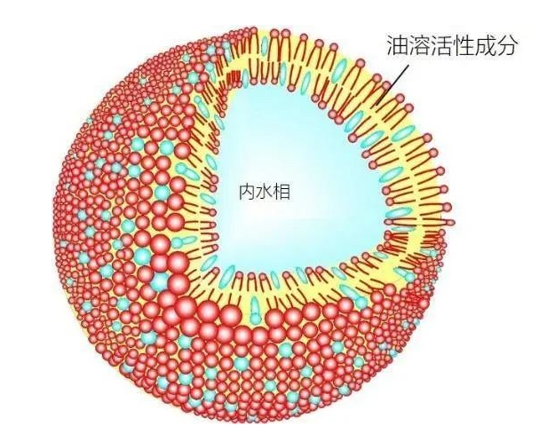 DSPC:Chol (55:45) Liposomes 