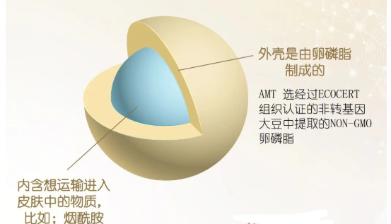 DOPC Liposomes 