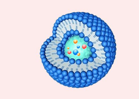 DOPS:DOPC (20:80) Liposomes 