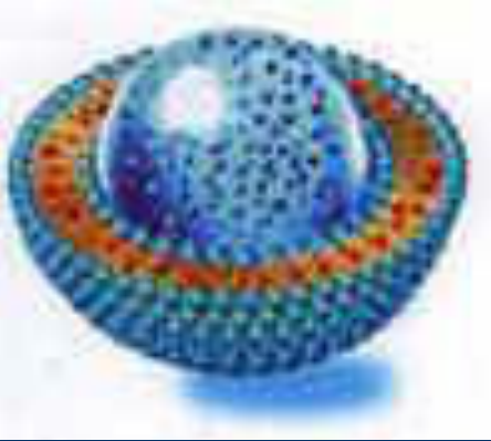 DOPG:DOPC (40:50) Liposomes