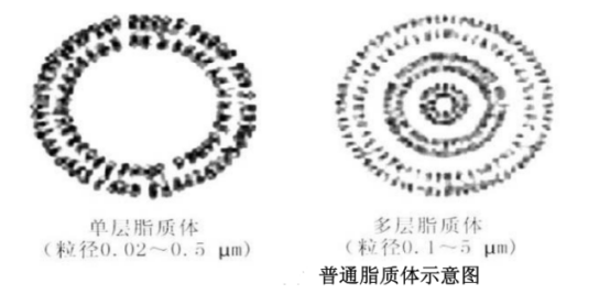 DOPG:DOPC (20:80) Liposomes