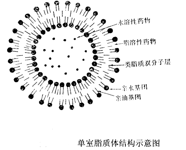 DOTAP:DOPC (40:50) Liposomes 