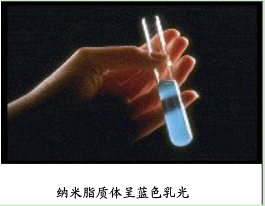羧基修饰微米脂质体囊泡
