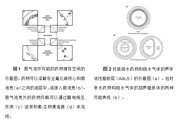 全氟己烷脂质体