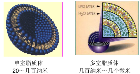 多氟烷脂质体