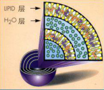 DPPC+10%胆固醇空白脂质体 