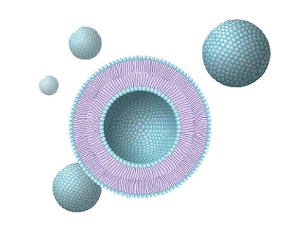 丹参酮iia@脂质体-转铁蛋白 Liposome