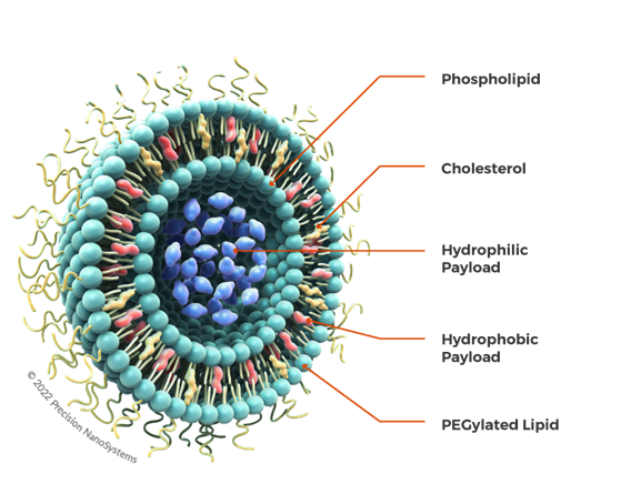 PC:Cardiolipin (40:50) Liposomes
