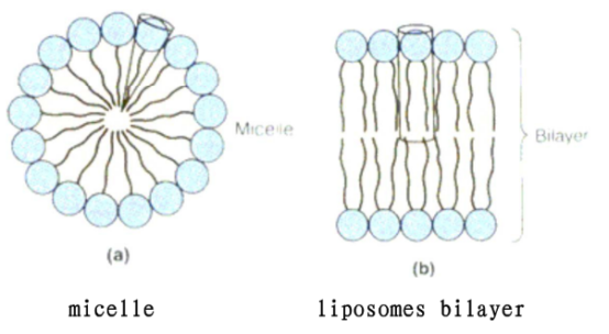 PC:Cardiolipin (1:99) Liposomes