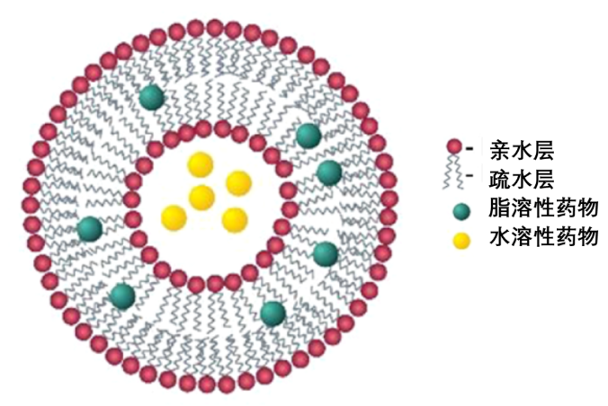 ardiolipin (0.5:99.5) Liposomes 