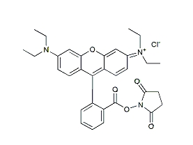 Rhodamine B NHS Ester 144700-55-0 罗丹明B NHS酯-UDP糖丨MOF丨金属有机框架丨聚集诱导发光丨荧光标记 ...