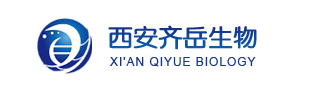 QQ截图20231229094403.png