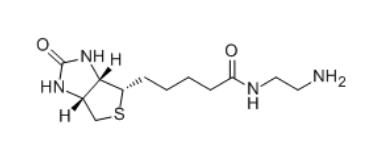 Biotin-EA 生物素-乙二胺