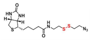 Biotin-SS-azide