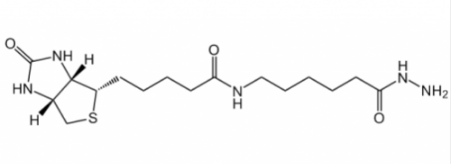 生物素酰胺基己酰肼