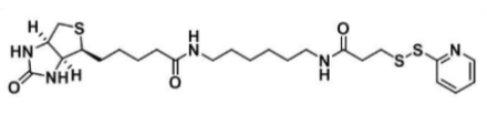 生物素-二硫吡啶