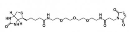 生物素-三乙二醇-马来酰亚胺