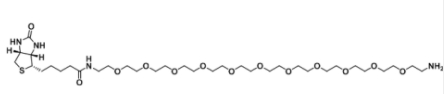 生物素-十一乙二醇-氨基