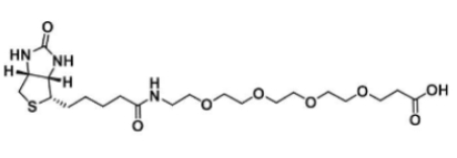 生物素-四乙二醇-叠氮