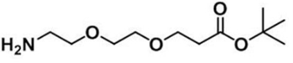 CAS:756525-95-8；氨基-二聚乙二醇-丙酸叔丁酯；NH2-PEG2-CH2CH2COOtBu