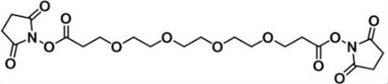 活性酯四聚乙二醇活性酯；NHS-PEG4-NHS ester
