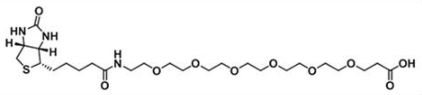 CAS:1352814-10-8；生物素六聚乙二醇丙酸；(+)-Biotin-PEG6-Acid