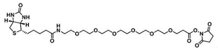 CAS:2055045-04-8；生物素六聚乙二醇活性酯；(+)-Biotin-PEG6-NHS Ester