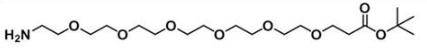 氨基-六聚乙二醇-丙酸叔丁酯；Amine-PEG6-COOtBu