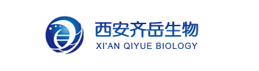 聚六亚甲基胍盐酸盐接枝中空介孔二氧化硅