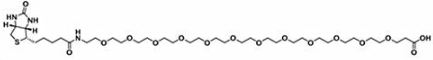 生物素-十二聚乙二醇-羧基；Biotin-PEG12-COOH；Biotin-PEG12-Acid