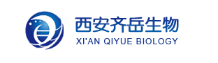 CAS:1807503-90-7；对甲酰苯甲酰-二聚乙二醇-叔丁氧羰基；CHO-Ph-PEG2-NHBoc
