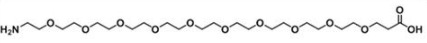 氨基-十二聚乙二醇-羧基；Amine-PEG12-Acid