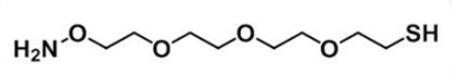 CAS:1200365-63-4；氨氧基-三聚乙二醇-硫醇盐酸盐；Amineoxy-PEG3-thiol HCl salt