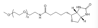 mPEG-Biotin;甲氧基聚乙二醇生物素;应用于医学研究
