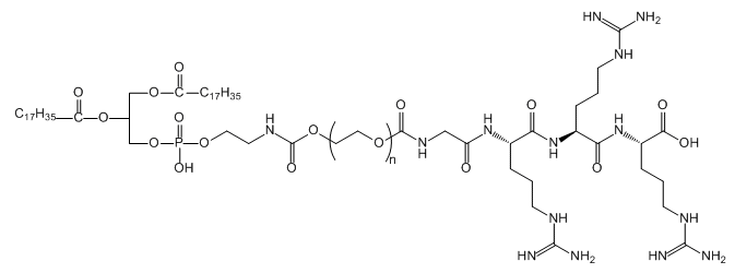 DSPE-PEG-Glycine triarginine的用途